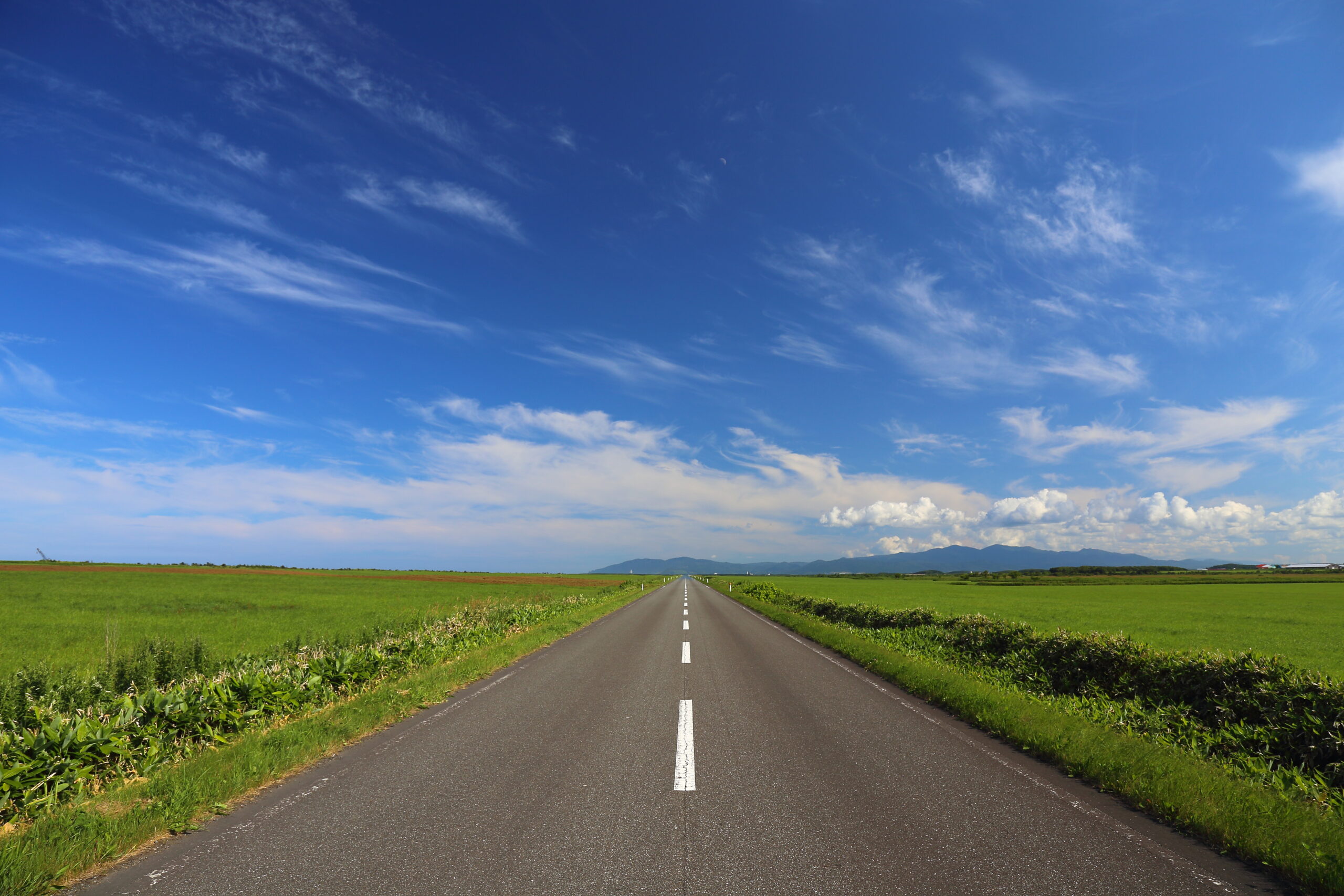 自己紹介と旅の経歴 きゃん旅この度どげな旅？